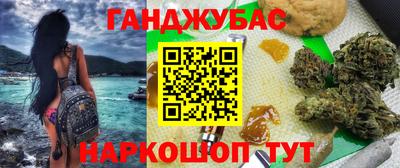 шишки Новозыбков