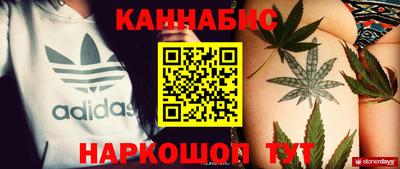 шишки Новозыбков
