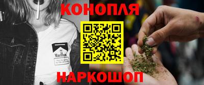 гидра Новокубанск