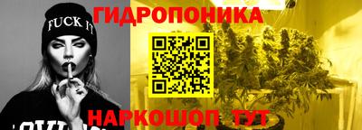 гидра Новокубанск
