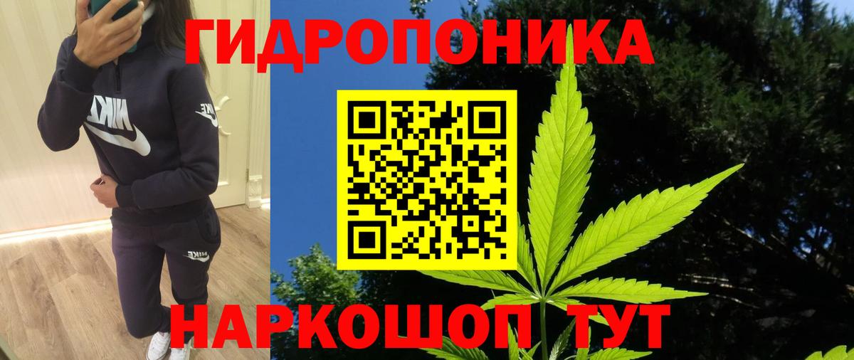 МАРИХУАНА конопля Рыбинск